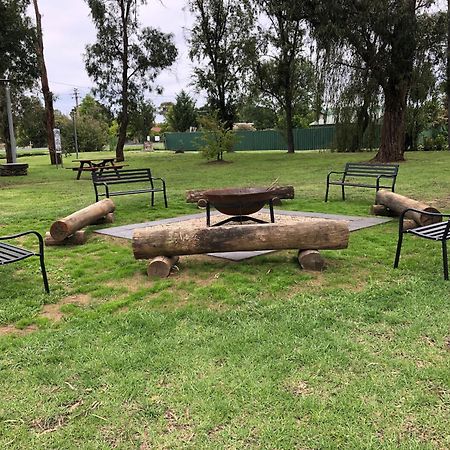Готель Armidale Tourist Park Екстер'єр фото