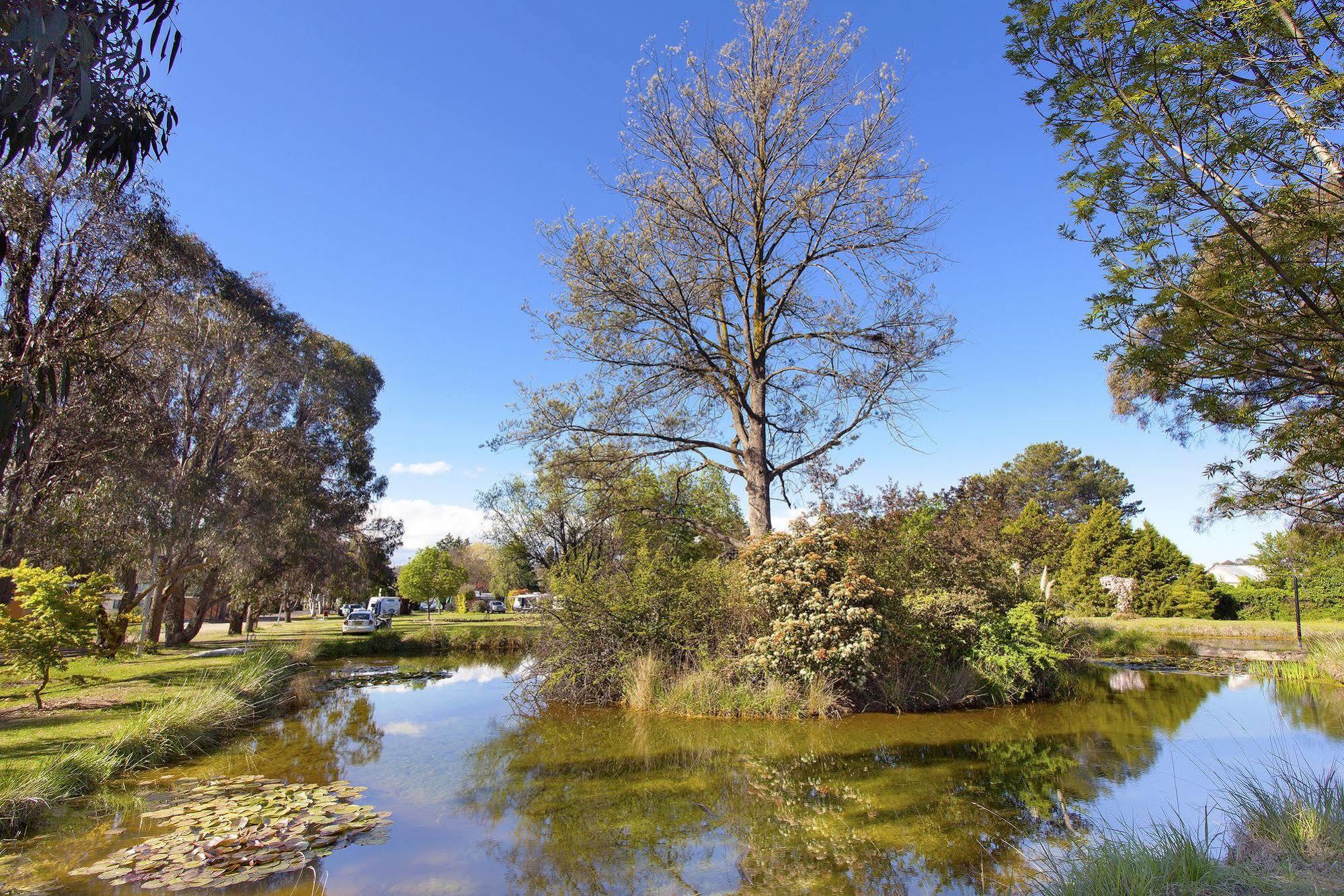 Готель Armidale Tourist Park Екстер'єр фото